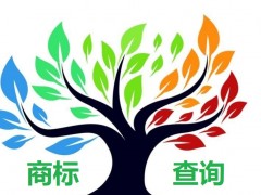 如何應(yīng)對商標查詢盲期？